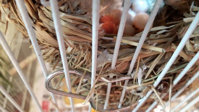 20170519_151826.jpg