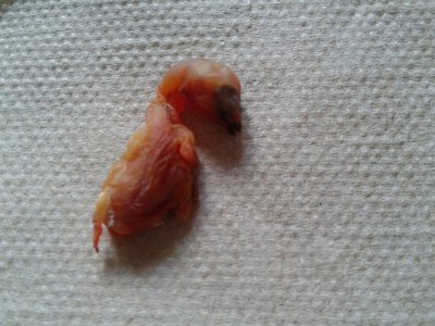 20170520_112422.jpg