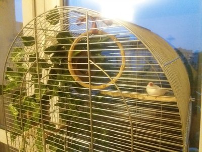 20170520_205635.jpg