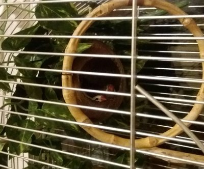 20170520_214107.jpg