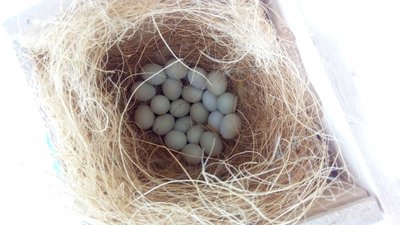 20170525_121440.jpg