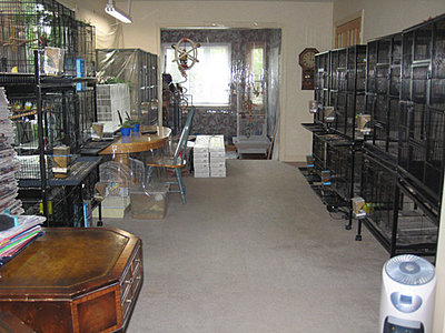 BirdroomSep09c.jpg