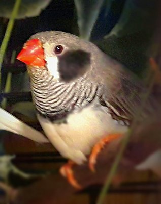 IMG_20170526_223633.jpg