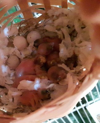 20170519_160511.jpg
