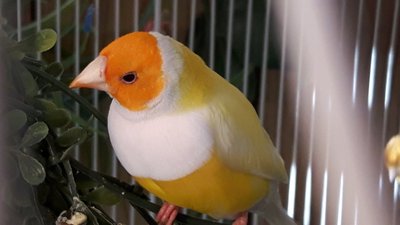 20170416_192035.jpg