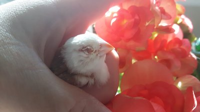 20170531_090514.jpg