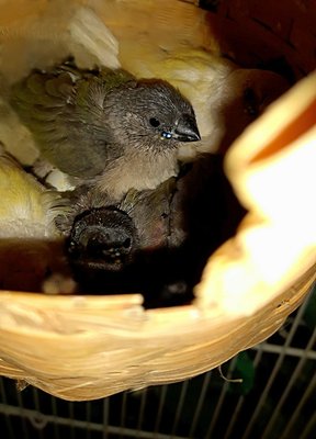 IMG_20170607_120723.jpg