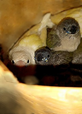 IMG_20170607_121344.jpg