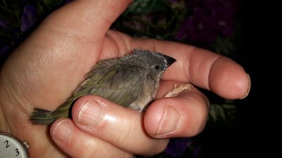 20170608_083941.jpg