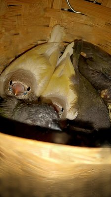 IMG_20170608_205034.jpg