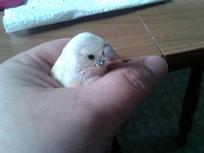 20170609_103109.jpg