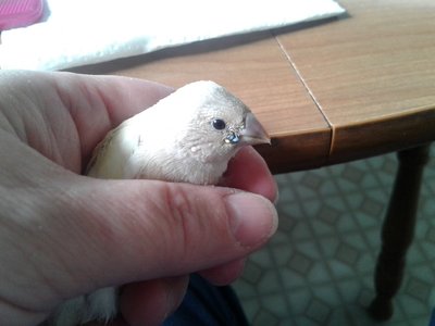 20170609_103124.jpg