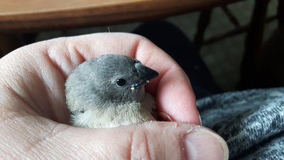 20170610_104842.jpg
