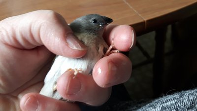 20170610_104906.jpg
