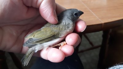 20170610_104918.jpg