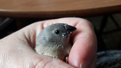 20170610_104851.jpg
