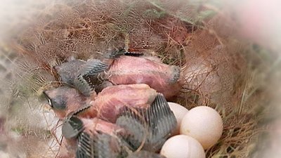 IMG_20170612_115414.jpg
