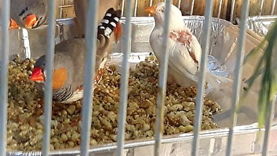 IMG_20170615_153210.jpg