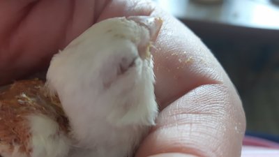 20170522_134954.jpg