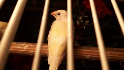 20170614_113446.jpg
