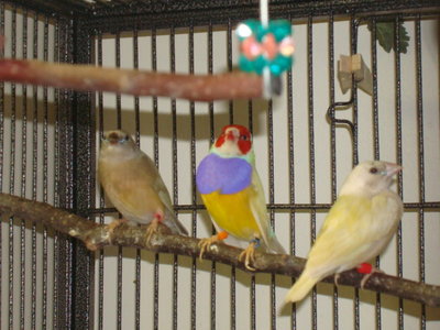 DSC04032.JPG
