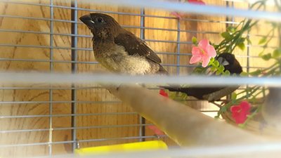 IMG_20170623_100651.jpg