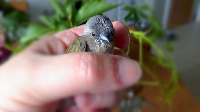IMG_20170626_121559.jpg