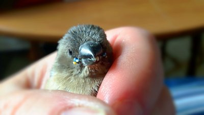 IMG_20170626_121216.jpg