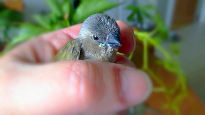 IMG_20170626_121410.jpg