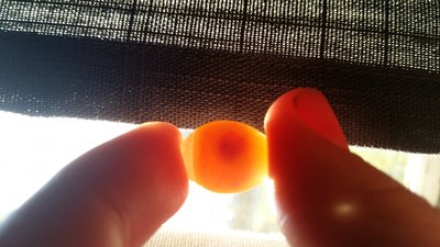 20170701_201427.jpg
