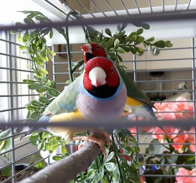 20170702_141101.jpg