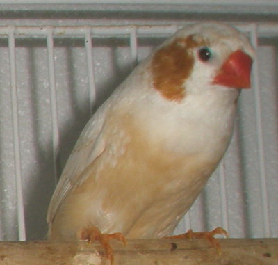 P1010043.JPG