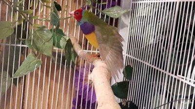 20170304_170309.jpg