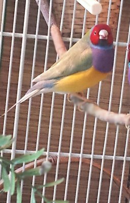 2016-02-10_08.15.56-1.jpg