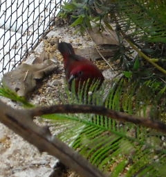 DSCN0009.JPG