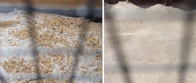.<br /><br />Sand before and after sifting. If the sand starts smelling, vinegar clears up the problem.<br />.