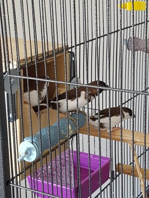 20170806_130748.jpg