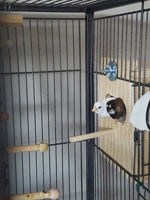 20170823_081047.jpg