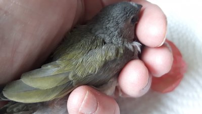 20170614_115956.jpg