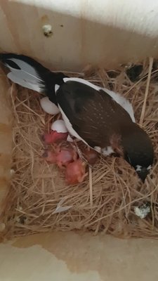 20170914_183323.jpg