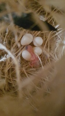 20170915_132643.jpg