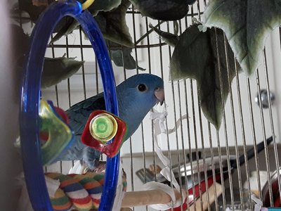 20170911_140425.jpg