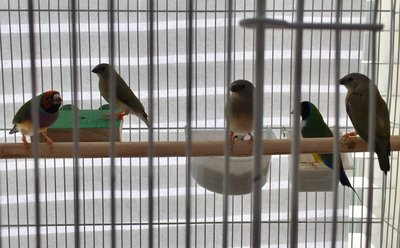IMG_2157.JPG