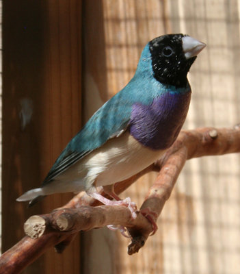 IMG_6829.jpg