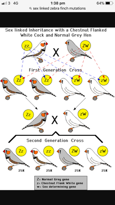 9EF71ACD-C02C-4C2F-BAB1-6568321BD507.png