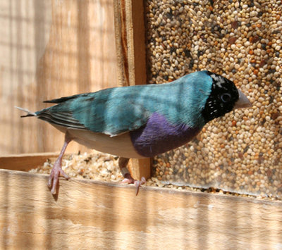 IMG_6832.jpg