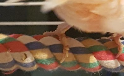 20171006_075104.jpg
