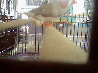 HNI_0030.JPG