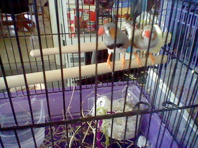 HNI_0022.JPG