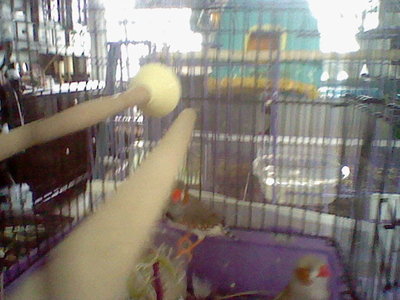 HNI_0025.JPG